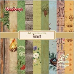 Forest - Assortiment 24...